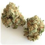 Шишки "White Widow" (Белая вдова) Гидропоника - Бошка VHQ в Сосновоборске Шишки "White Widow" (Белая вдова) Гидропоника - Бошка VHQ в Сосновоборске